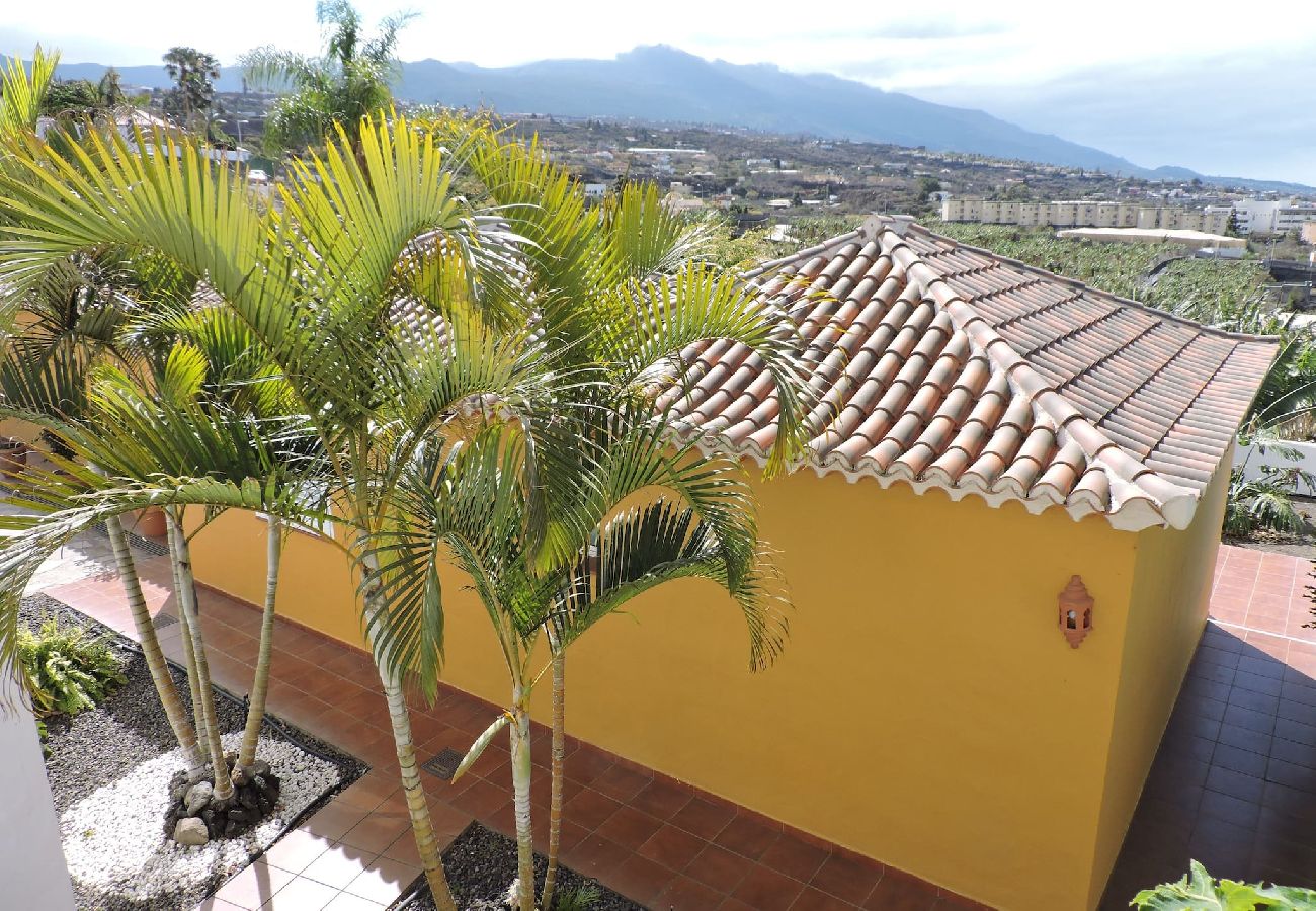 Casa en Los Llanos de Aridane - Casa Las Papayeras B, en Los Barros (Los Llanos) 